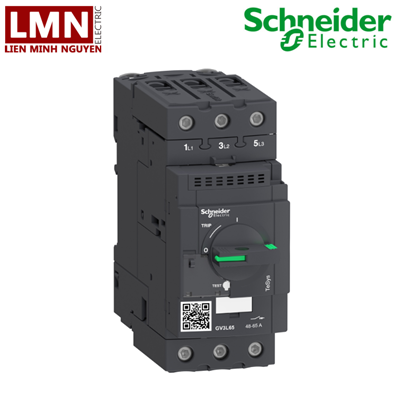 GV3L65-schneider-cb-3-cuc-gv3l-65a-30kw-100ka