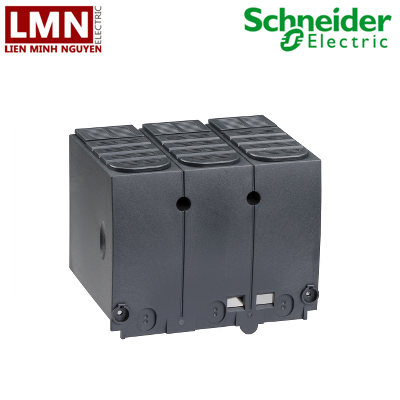 LV429517-schneider-tam-nhan-cach-dien