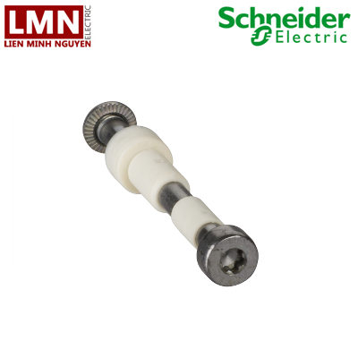 LV432513-schneider-dinh-vit