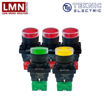 P2PSLP6LB10-teknic-nut-nhan-nha-co-den-loai-loi